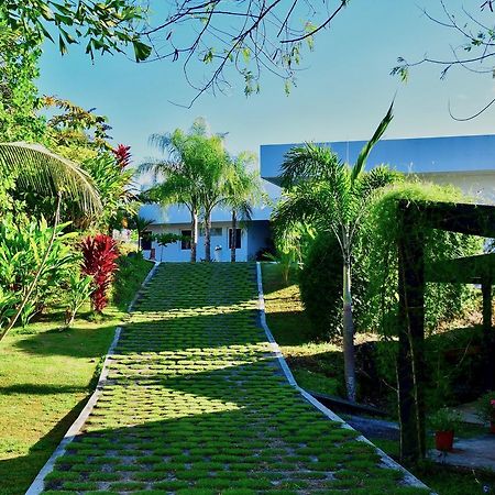 Sand Dollar Villa بوكاتشيكا المظهر الخارجي الصورة
