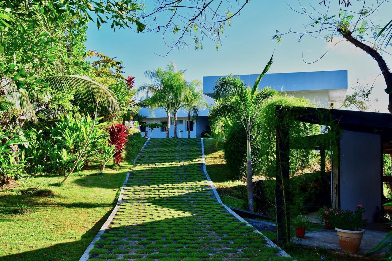 Sand Dollar Villa بوكاتشيكا المظهر الخارجي الصورة